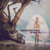 Lea - United Rhythms Of Brazil&Steve Porcaro