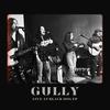 Won't Ya Darlin' (Live) - Gully