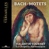 VIII. So aber Christus in euch ist - Valentin Tournet&La Chapelle Harmonique&William Shelton&Benjamin Glaubitz&Christian Immler&Johann Sebastian Bach&Anonymous