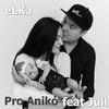 Pro Anikó (feat. Jull) - MC Elka&Jull