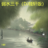 弱水三千 (DJ筱轩|DJ何友 remix) (Remix) - DJ筱轩&DJ何友