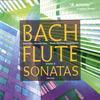 Sonata in C Major, BWV 1033: I. Andante - Janet See&Mary Springfels&Davitt Moroney