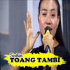 Toang Tambi - seshin