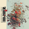 Love Will Take U Higher - James Roche