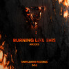 Burning Like This - arodes