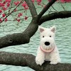 walk on water (前奏变速版) - CR.7