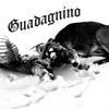 Guadagnino - Oniro UZ&Gysu