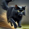 black running - Crazy Cat