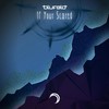 The Tone Traveller - Blufeld
