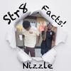 Str8 Facts (Explicit) - Nizzle