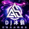 别让我伤心 (DJ鹤鹤|dj冰鹤 remix) (Remix) - 冰什么鹤&dj冰鹤&dj苏辰