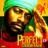 Rasta Dub Plate - Perfect Giddimani