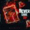 (Never give up) (Explicit) - WhoHeem