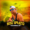 Sou Grato - MC Cabrall SP&DJ Biel Mix