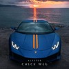 Check Weg - ALVSTOR