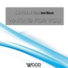 Waiting For You (Nyquist Remix) - The Swede&Joni Black&Nyquist