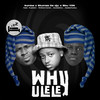 Why Ulele (feat. Pushkin RSA, ilovelethu, Philharmonic, Jadenfunky) - 9umba&Stumza Da Djy&Sbu YDN&Jadenfunky&Philharmonic&Pushkin RSA&ilovelethu