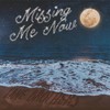 Missing Me Now - Lane Brothers