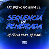 Sequência da Penetrada (Explicit) - MC Brew&MC Rafa 22&DJ FEBA MDM&DJ DAVL