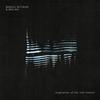 Inspiration of the Lion (MALIAN Remix) - Malian&Marius Nitzbon