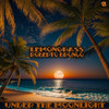 Under The Moonlight - Lemongrass&Roberto Bronco