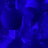 Lay Low (G-mix|Explicit) - Lil Groove