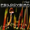 Backwards (Original Mix) - PsiloCybian