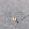 CONCRETE (Explicit) - seshin