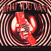 What You Want - Flux Zone&Gustavo Koch&A.IFF