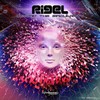 Supergravity (Original Mix) - Rigel&Masingularity