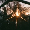 Iris - Melvv