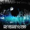 No Tears To Cry (feat. Sawer) - Fruitymasterz&Sawer