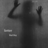 Bad Boy - Setter