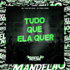 Tudo Que Ela Quer (Explicit) - MC Yuri&MC Rica&DJ Ping Pong