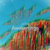 Awakenings - J.O.M.&David Ben-Porat&Todd Kessler