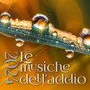 I. Introitus. Requiem aeternam (Live) - I Solisti di Perugia&Gary Graden