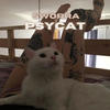 PSYCAT - Sworra