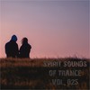 The Dream of Tomorrow (Original Mix) - Wael MacTaviSh