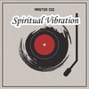 Spiritual Vibration - Master Cee