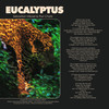 Eucalyptus - Flwr Chyld&Sebastian Mikael&Kevin Brown&Sebastian Bereket