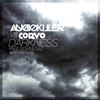 Darkness (Remix) - AudioKiller