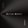 Picture Perfect (Explicit) - Shvn