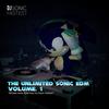 Sonic Heroes (Hardcore Mix 2023) - DJ Sonic Fastest&Crush 40
