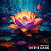 In the Dark - AkaHendy