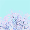 Luminescence - 黒皇帝