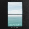 Immensity - Sebaztian