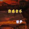 这一生关于你的风景 (Remix) - 惜梦&DJ柚仔