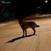 New Year (Sped Up) - MKnight&arehos&Avery&Darcy Wood&rosskpws