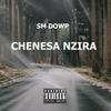 CHENESA NZIRA - Sm Dowp