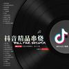 抖音快手精品HIFI车载发烧串烧男声版 (枫叶ProgHouse Dj Remix) - 枫叶&DJ老鹏